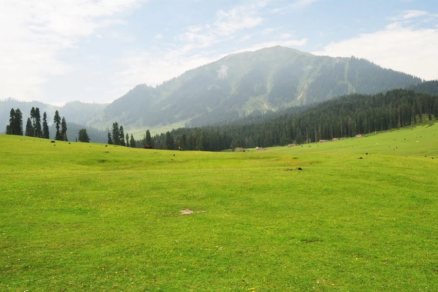 Yusmarg